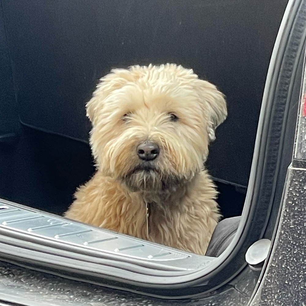 Meet your Posher, Angela